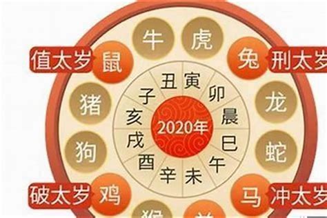 2023属虎|属虎人2023年全年运势详解 属虎2023年运势及运程每。